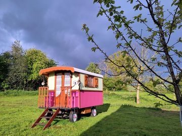 The pivoine caravan