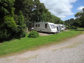 Spacious pitches with electric hook-ups