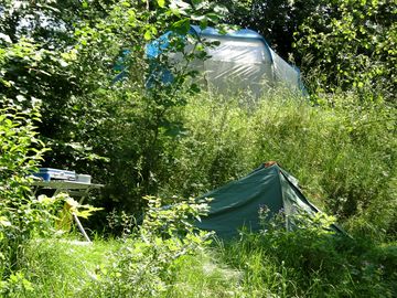 Wild camping area