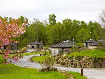 View of the cabins