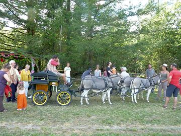 Donkey carriage rides during the summer fête