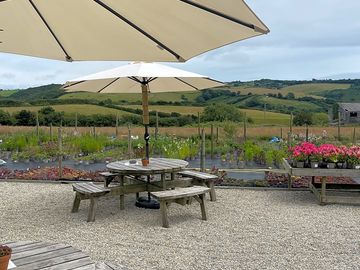Relaxing cornish view