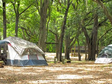 Camping in the woods