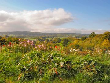 View from the yurt door