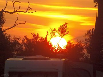 Sunset behind the trees
