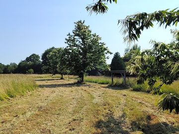 Grass pitches
