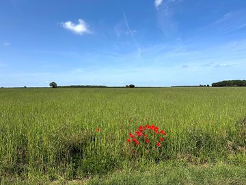 Nearby fields
