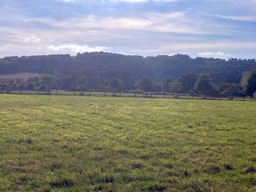 View from the site