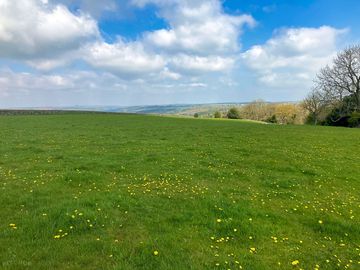 The grassy pitches (added by manager 17 aug 2023)