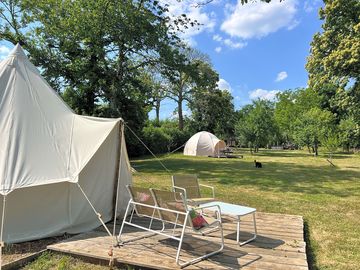Tent pitches among the trees