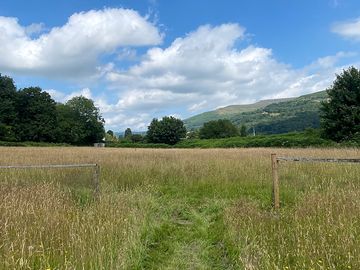 Path to our tent pitches