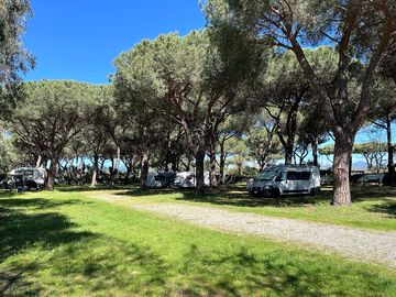 Shaded pitches