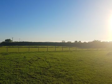 Open fields