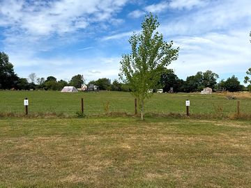 Grass pitches