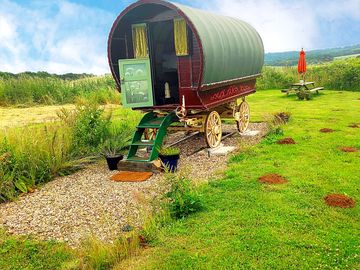 Wagon