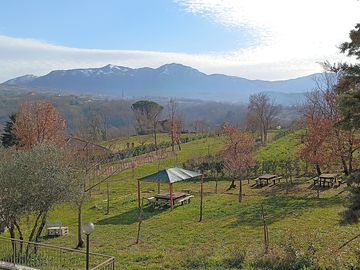 Site