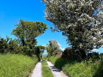 Access track in spring