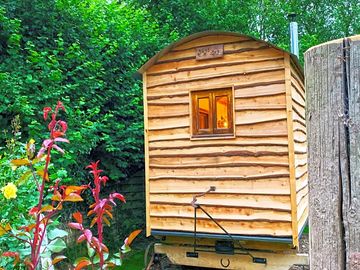 Hut surrounded by greenery