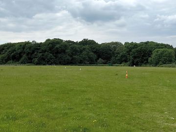 Level camping meadow backed by woodland
