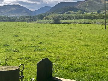 View from the pitches