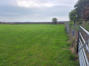 Grass pitches