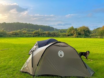 Dog-friendly camping