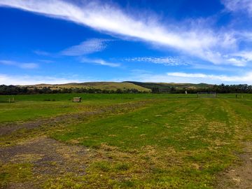 View over the site