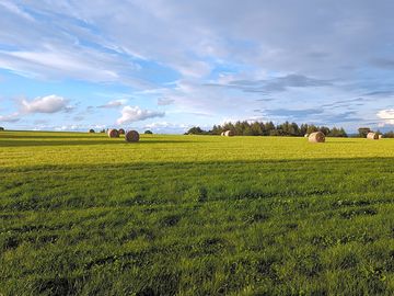 The field we were on (added by gringorichards 26 aug 2023)