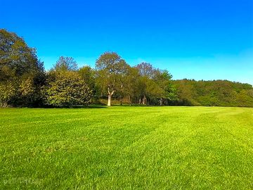 The camping field