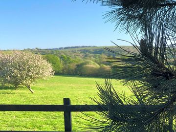 Camping field with moorland views