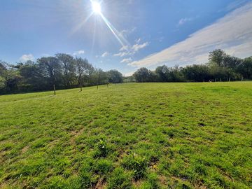 Meadows in the sun