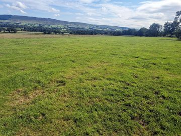Camping field