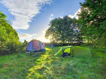 Pitches on site