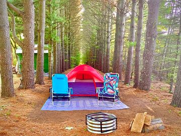 Camp in pine tree lane (added by manager 25 aug 2022)
