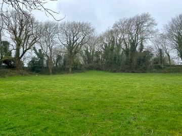 Pitches sheltered by trees (added by manager 16 mar 2022)