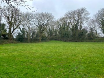 Pitches sheltered by trees