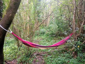 Plenty of places to explore and swing from