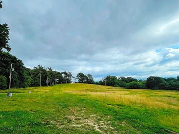 Looking across the site