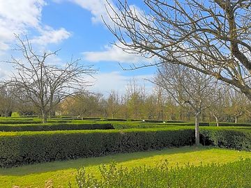 Grass pitch