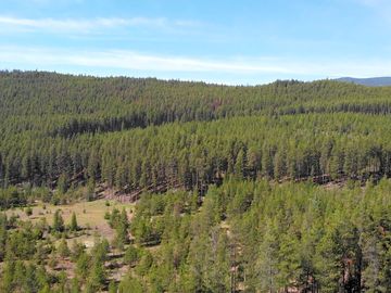 View of the forested countryside