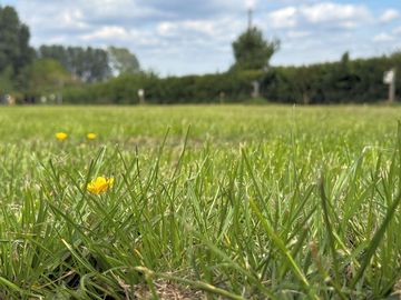 Camping field