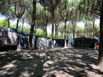 Natural surroundings