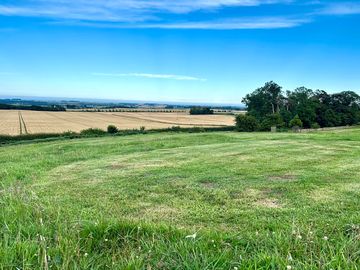 View from pitches