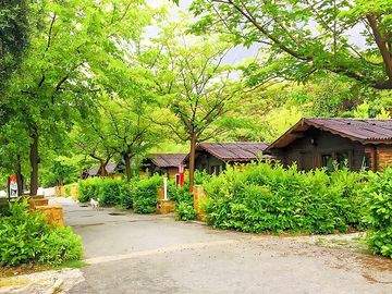Bungalow