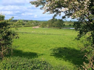 View from the site, through a gap in the hedge. (added by visitor 24 may 2022)