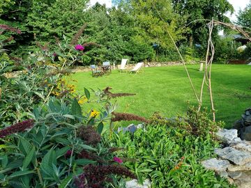 View of the garden