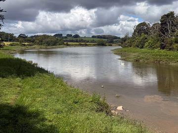 View from the site