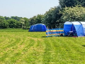 Pitches on the grass