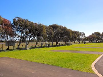 Spacious pitches amongst trees