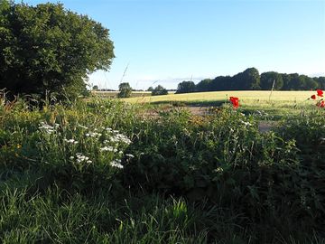 Views from the site